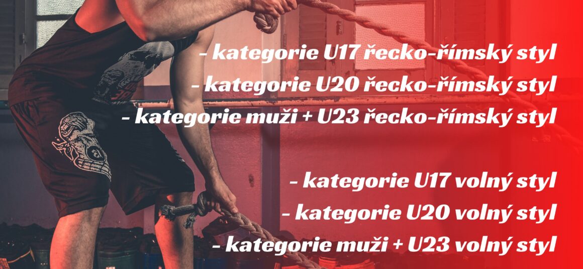 Poptávkové řízení na reprezentační trenéry