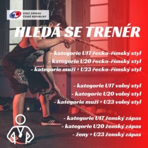 Poptávkové řízení na reprezentační trenéry