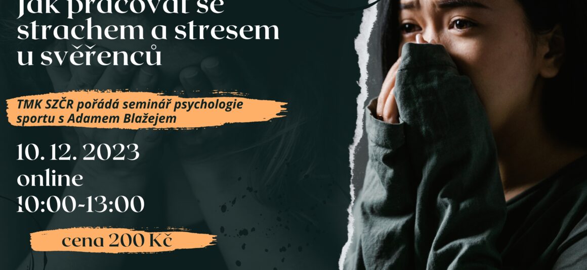 Psychologie sportu: Jak pracovat se strachem a stresem u svěřenců